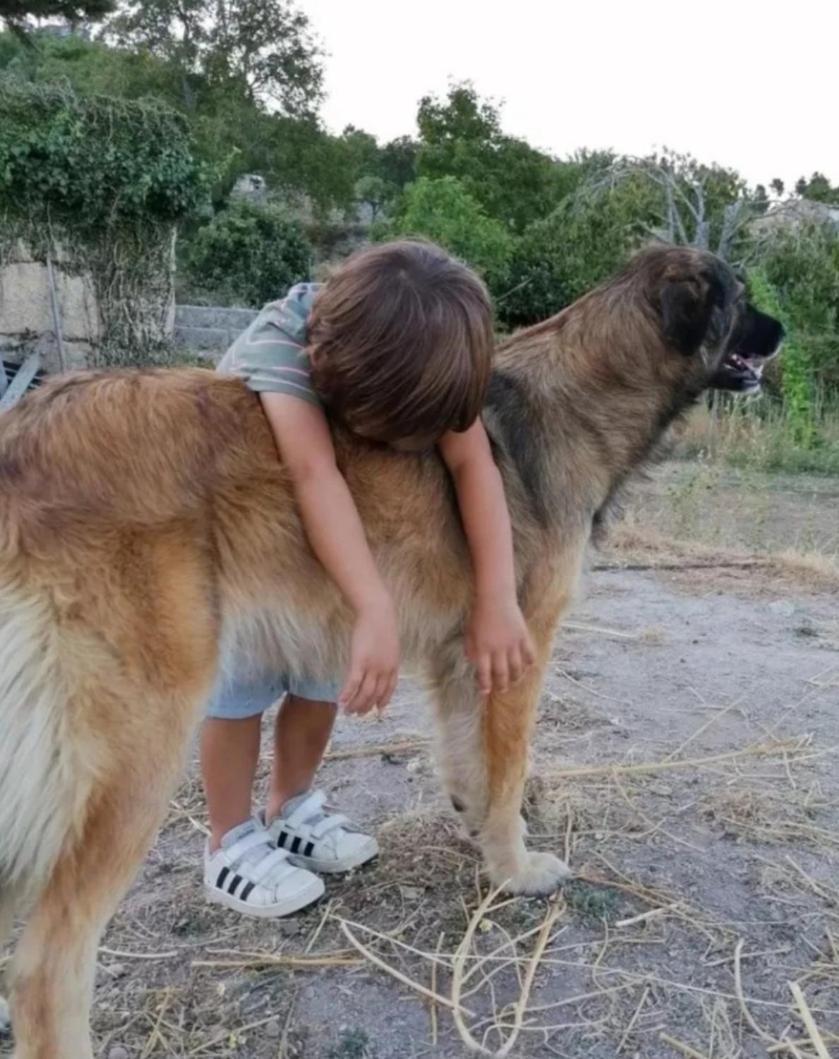 Willa Casa Da Moiroa Sendim  Zewnętrze zdjęcie