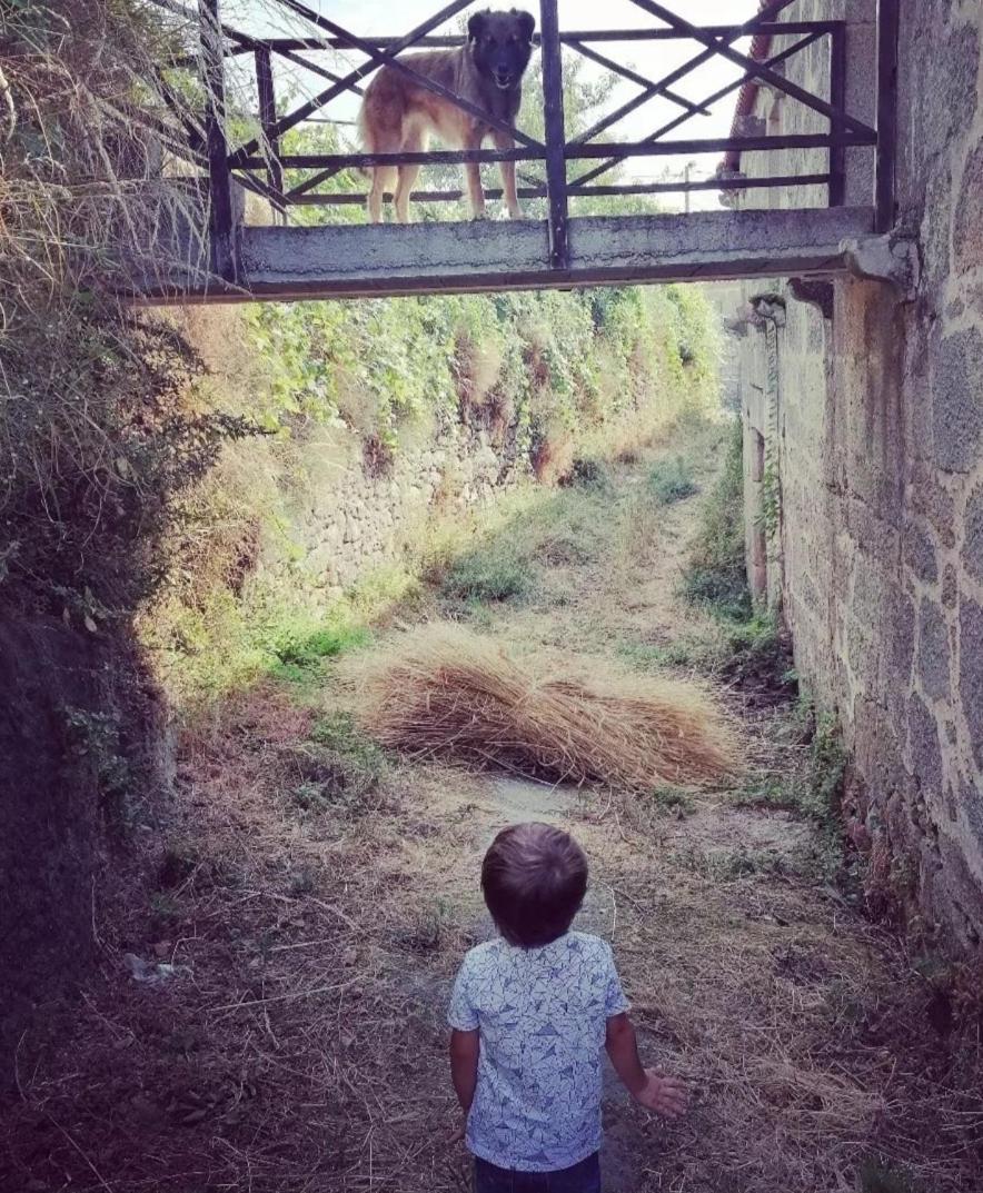 Willa Casa Da Moiroa Sendim  Zewnętrze zdjęcie