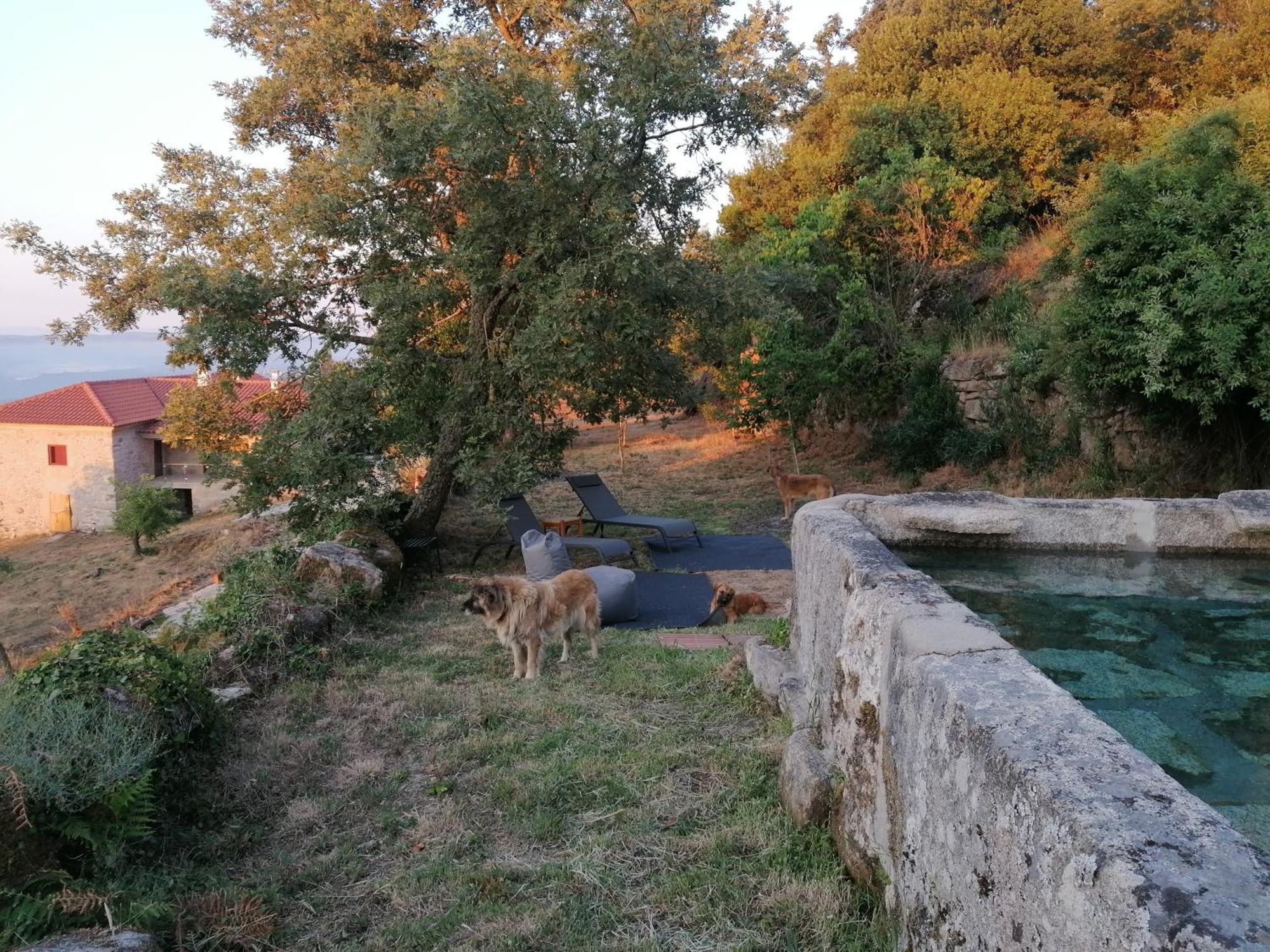 Willa Casa Da Moiroa Sendim  Zewnętrze zdjęcie